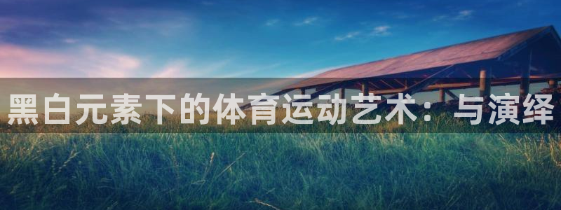 球客岛：黑白元素下的体育运动艺术：与演绎