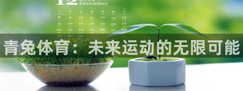 球客岛：青兔体育：未来运动的无限可能