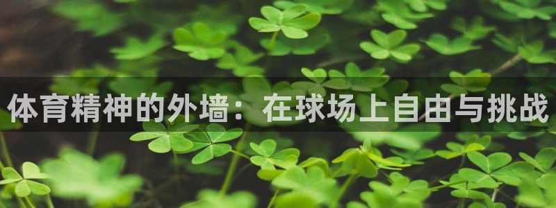 球客岛：体育精神的外墙：在球场上自由与挑战