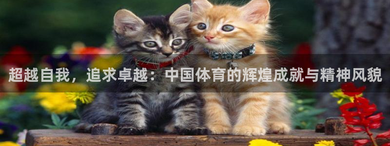 球客岛：超越自我，追求卓越：中国体育的辉煌成就与精神风貌