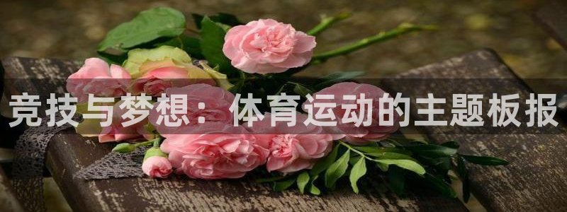 球客岛：竞技与梦想：体育运动的主题板报