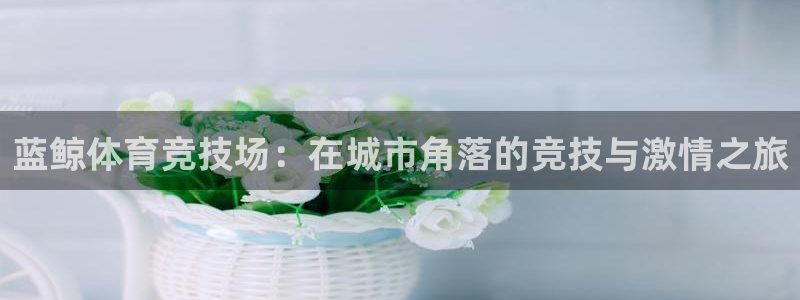 球客岛：蓝鲸体育竞技场：在城市角落的竞技与激情之旅