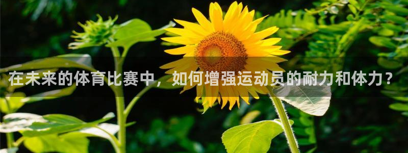 球客岛：在未来的体育比赛中，如何增强运动员的耐力和体力？
