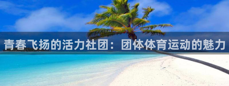 球客岛：青春飞扬的活力社团：团体体育运动的魅力