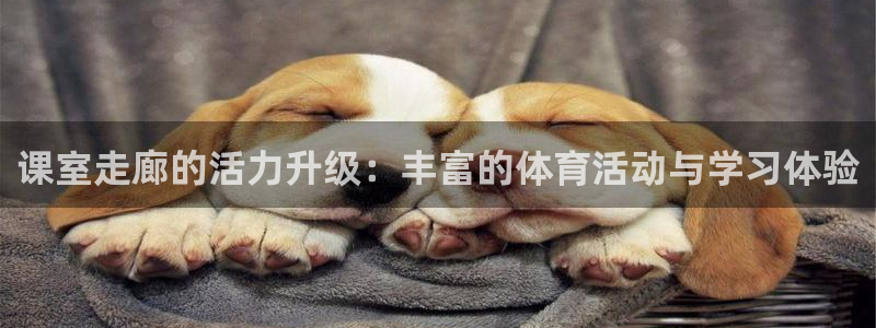 球客岛：课室走廊的活力升级：丰富的体育活动与学习体验